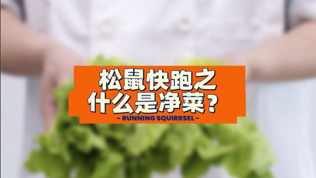 “天天说你们是新鲜净菜,到底什么是净菜?”懒懒今天就为你揭秘,到底什么是净菜~让你吃的安心吃的放心