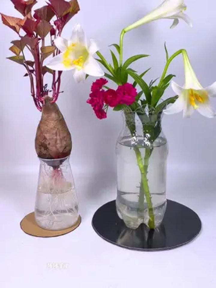 饮料瓶变废为宝花瓶漂亮又实用 #自制花盆 #手工 #变废为宝 #塑料瓶