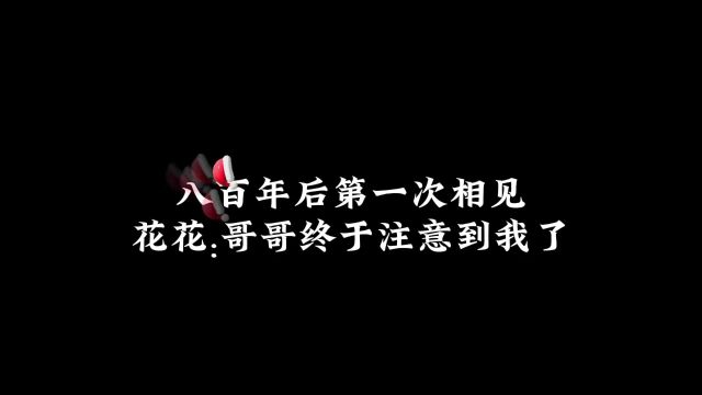 一次相见花花哥哥问到我了好开心花城 天官赐福广播剧