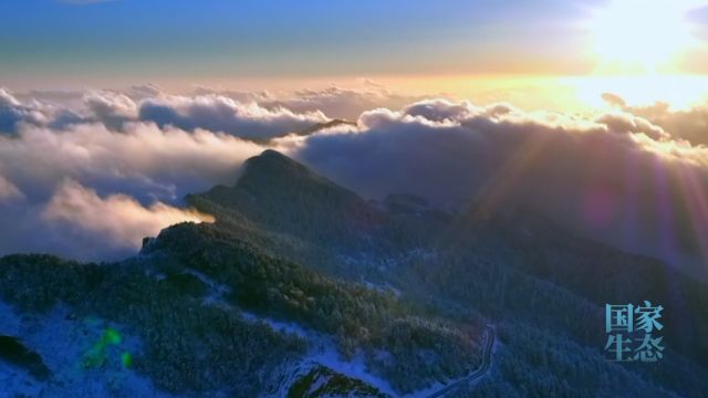 中国湿地:神农架大九湖湿地