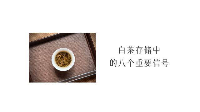 精品科普 | 盘点白茶存储中的八个重要信号