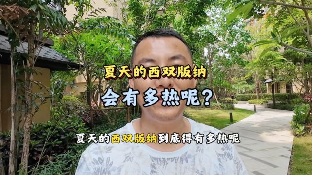 夏天的西双版纳会有多热呢?雨季会带了舒适度么?