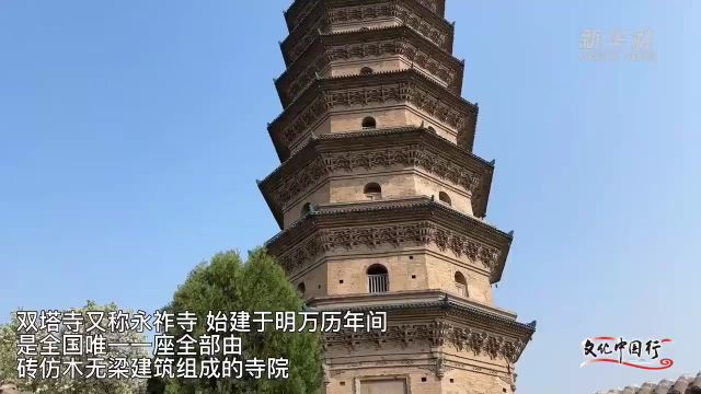 文化中国行|400多岁的“寺院牡丹”绽放太原