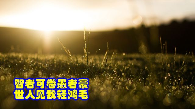 品鉴唐诗 智者可卷愚者豪 世人见我轻鸿毛 李白 《梁甫吟》