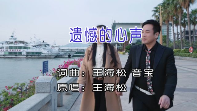 王海松演唱歌曲《遗憾的心声》KTV版