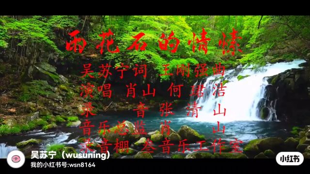 雨花石的情愫 吴苏宁词 王刚强曲 肖山 何珺洁演唱