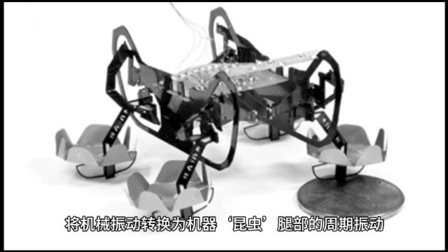 我国科研团队实现仿生“昆虫”微型动力技术突破