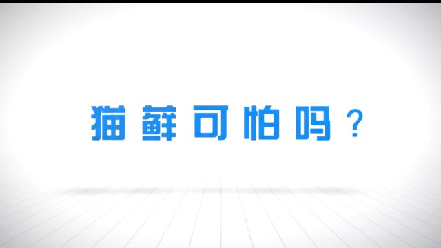 【爱宠说第一季】24期 猫癣可怕吗