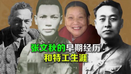 张文秋的家世身世，早期经历和特工生涯_高清1080P在线观看平台_腾讯视频
