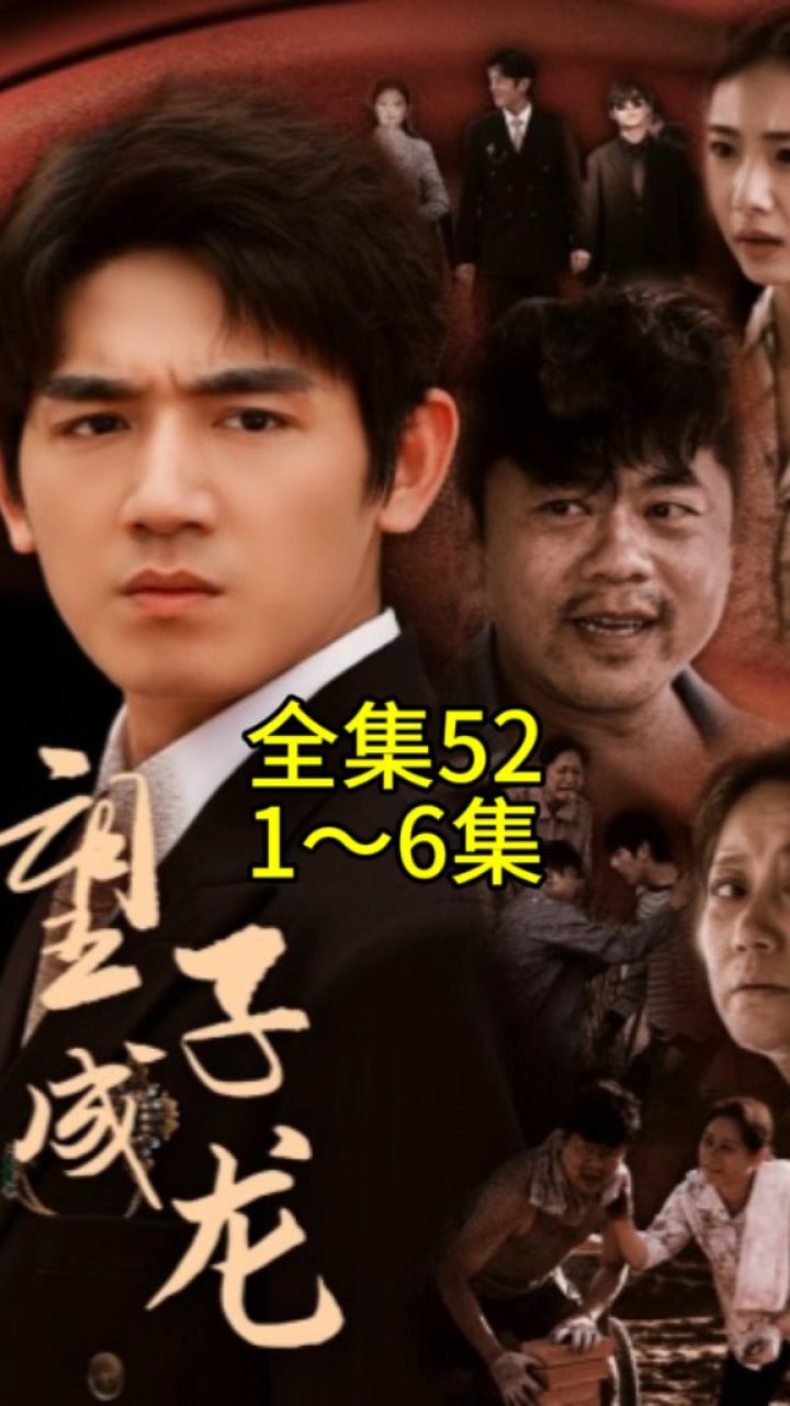 《望子成龙》1～52完结93芬享