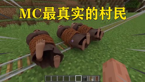 我的世界:MC最真实的村民,十年以后的MC!_高清1080P在线观看平台_腾讯视频