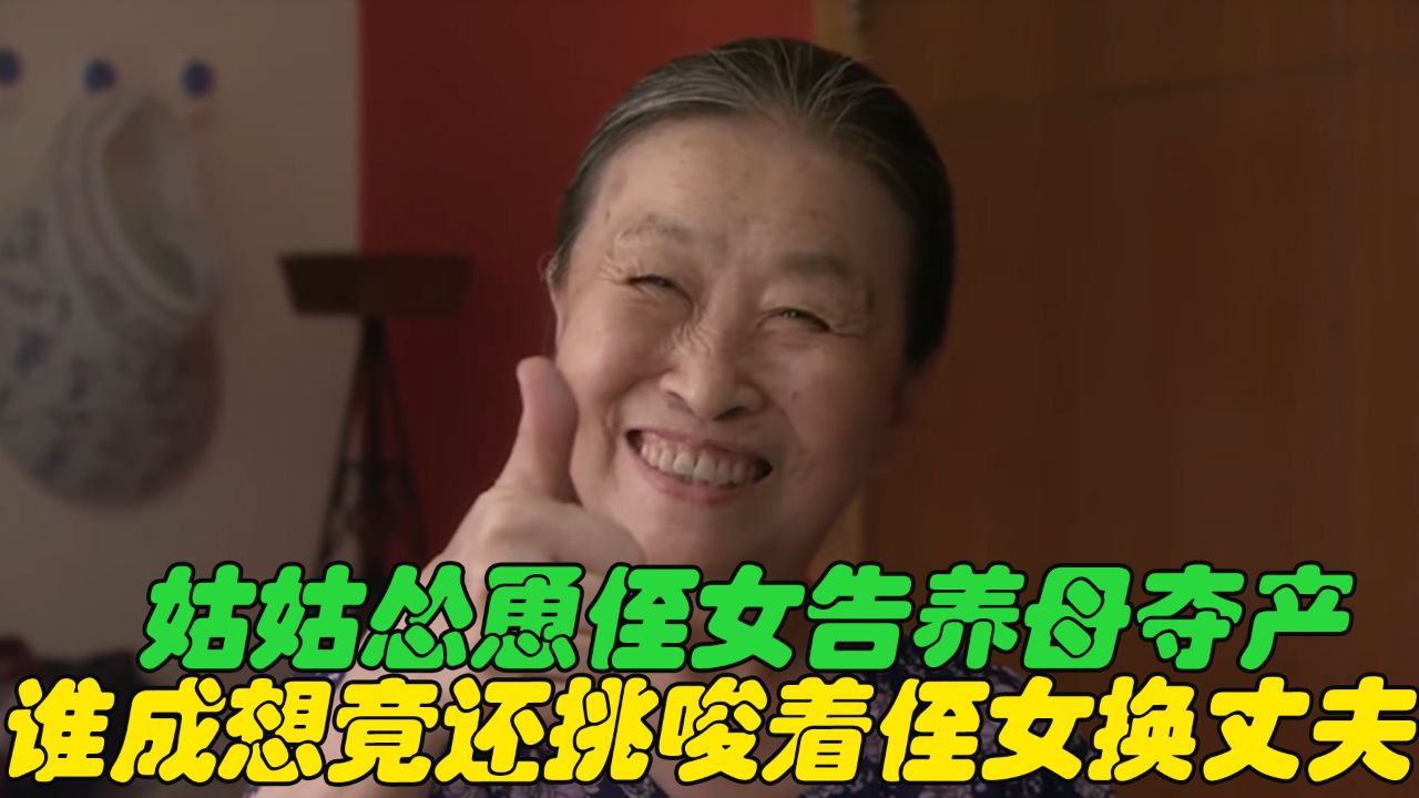 姑姑怂恿着侄女告养母夺产,谁成想竟还挑唆着侄女换丈夫_高清1080P在线观看平台_腾讯视频