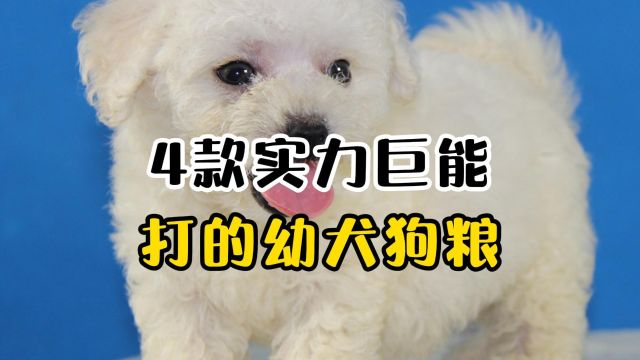 4款实力能打的幼犬狗粮,你选对了吗?