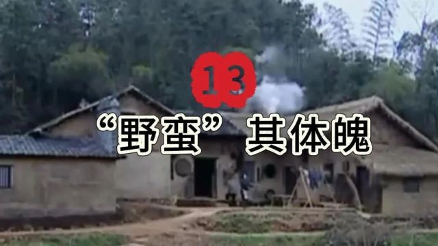 全网首发 | 百集视频: 13.“野蛮”其体魄一一毛泽东的故事