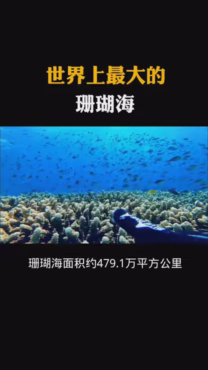 珊瑚海韩文版图片