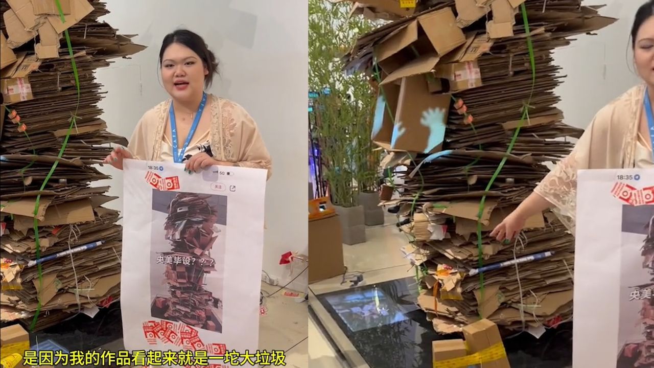 央美毕业作品《超级蜂巢》,被网友吐槽像废品,作者回应造价过万