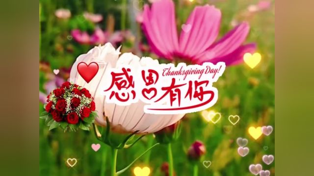 【亲启】你是我的玫瑰花为你准备