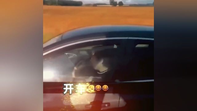 好好开车,注意安全!