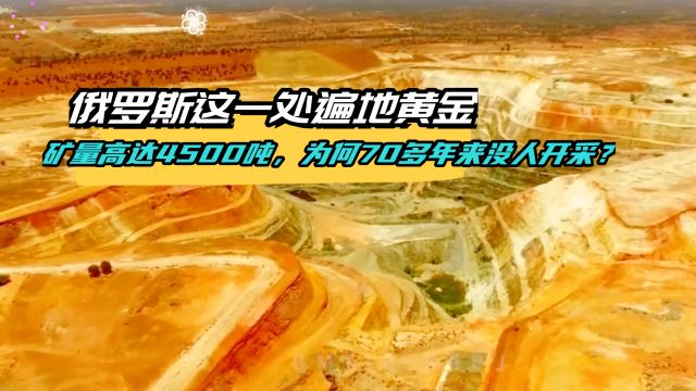 俄罗斯这一处遍地黄金,矿量高达4500吨,为何70多年来没人开采?