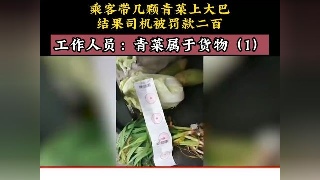 乘客带几颗青菜上大巴,结果司机被罚款二百,工作人员:青菜属于货物#货物 1