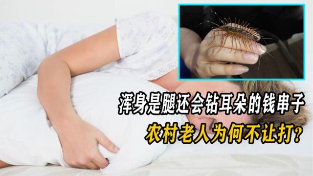 浑身上下全是腿,还会钻进耳朵里的钱串子,农村老人为何不让打?