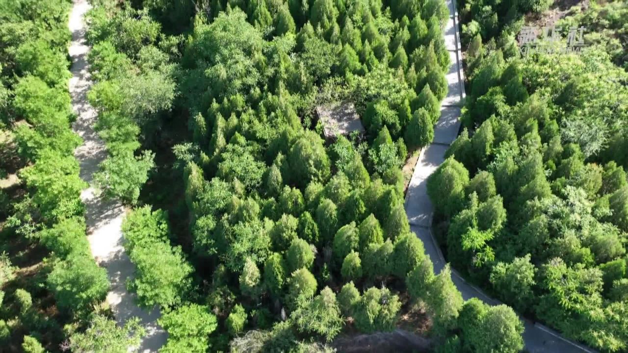 千城胜景|河北隆尧:生态尧山绿意浓