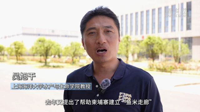 中国稻渔智慧助力澜湄农民共富