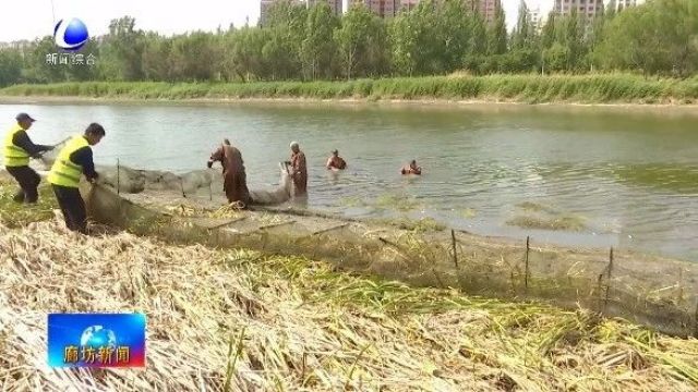 廊坊新闻直通车丨霸州市全力打造都市休闲食品产业新名片;我市多措并举推动税收工作提质增效......