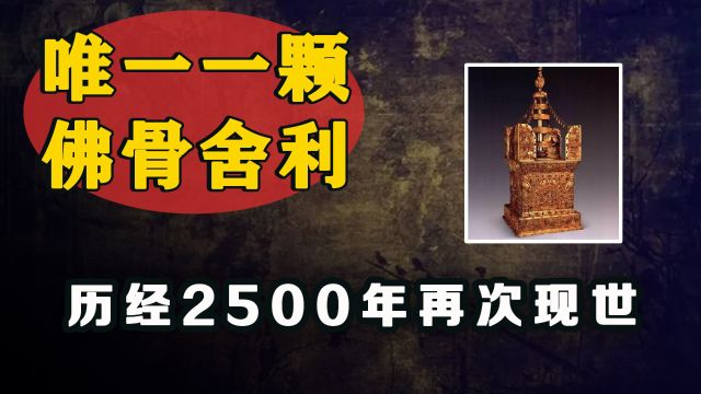 世界唯一一颗佛顶骨舍利,历经2500年再次现世,南京耗资40亿保护