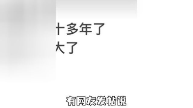 网络沙雕神评论第三期:为什么不让法国研究无线电呢?