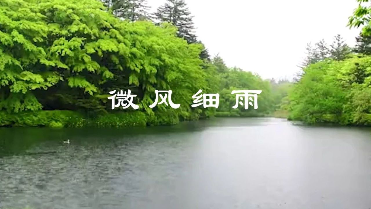 最美的微风细雨图片图片