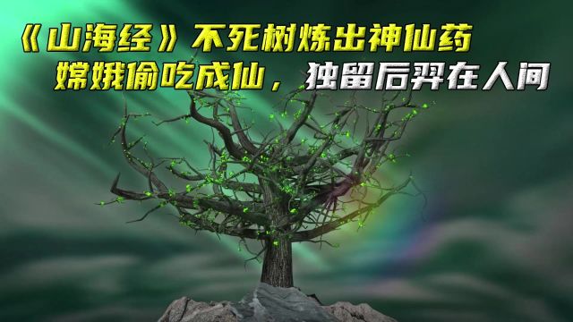 不死树果实炼出神仙药,嫦娥偷吃成仙,独留后羿在人间