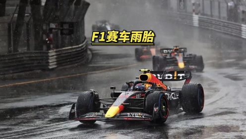 F1赛车的雨胎每秒排水量每秒竟然有85升,怪不得下雨天依然有足够的抓地力!_高清1080P在线观看平台_腾讯视频