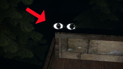 【恐怖游戏】黑暗中仿佛有双眼睛在看着我！