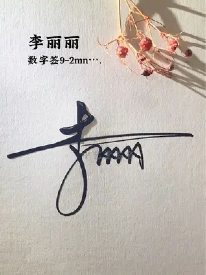 教你简单学签名 李丽丽请保存,数字解析9-2mn….