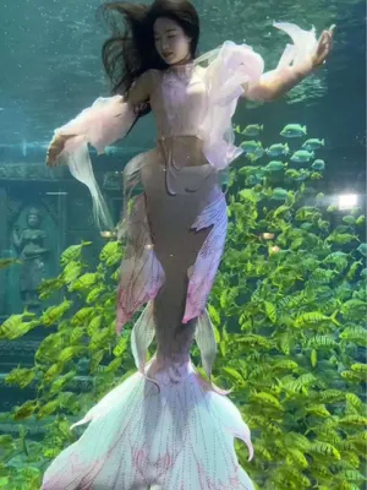 北海海底世界 #王丸丸美人鱼 #mermaidmystery连体鱼尾