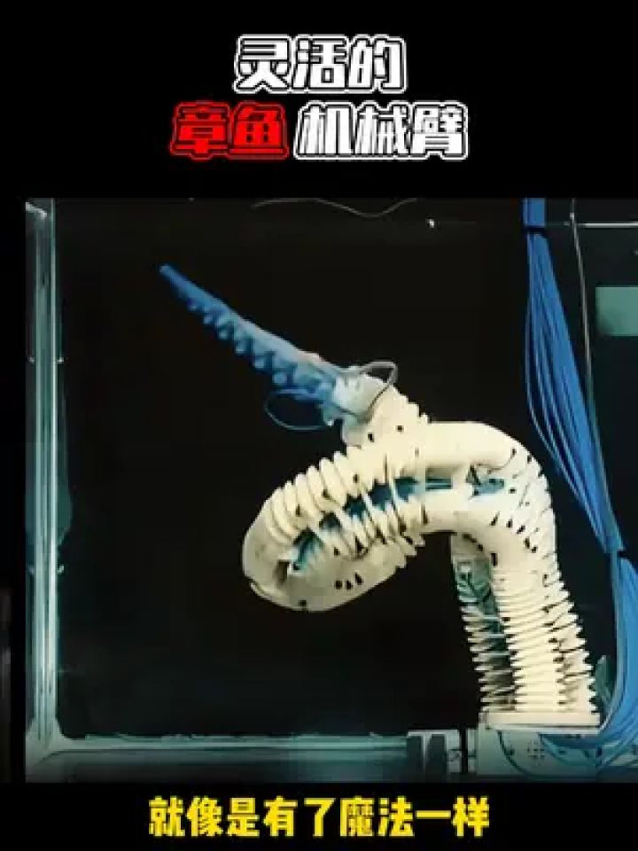 柔软灵活的章鱼机器人! 可以派上大用途~#章鱼机器人 #机械臂
