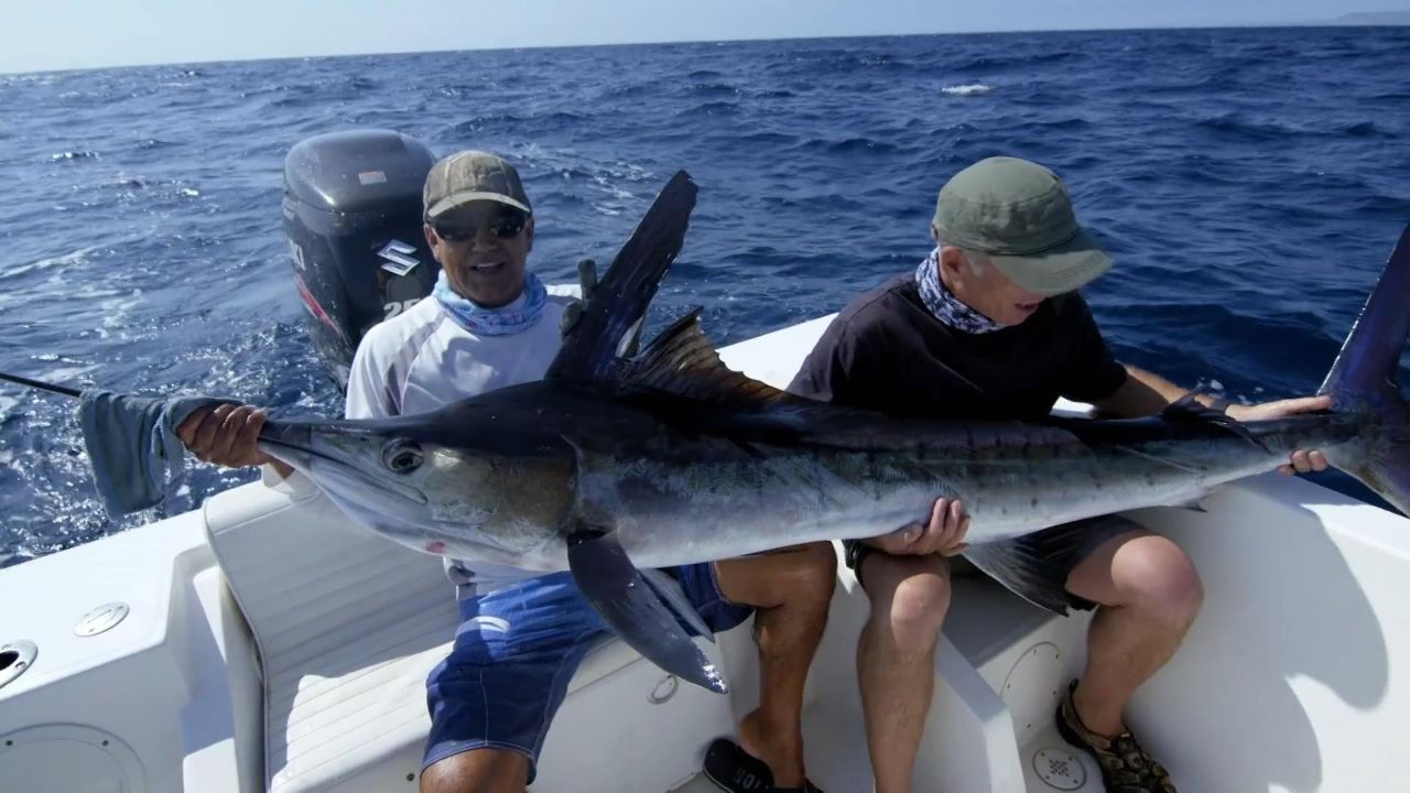 杰瑞米钓到一条超大旗鱼