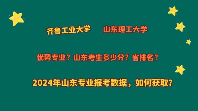 齐鲁工业大学、山东理工大学,山东考生多少分?2024山东报考数据