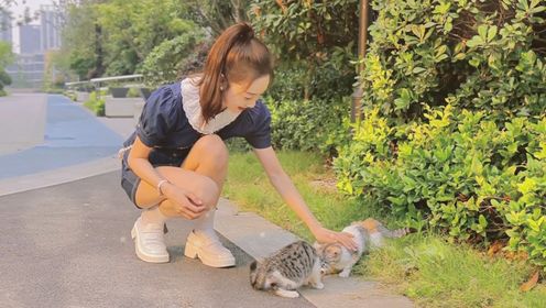 花絮:李子璇片场被猫咪硬控一整天，萌化了！