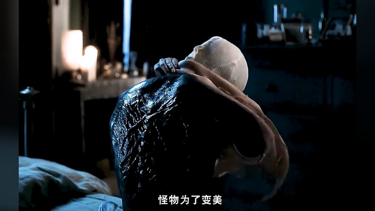 电影《皮囊之下》