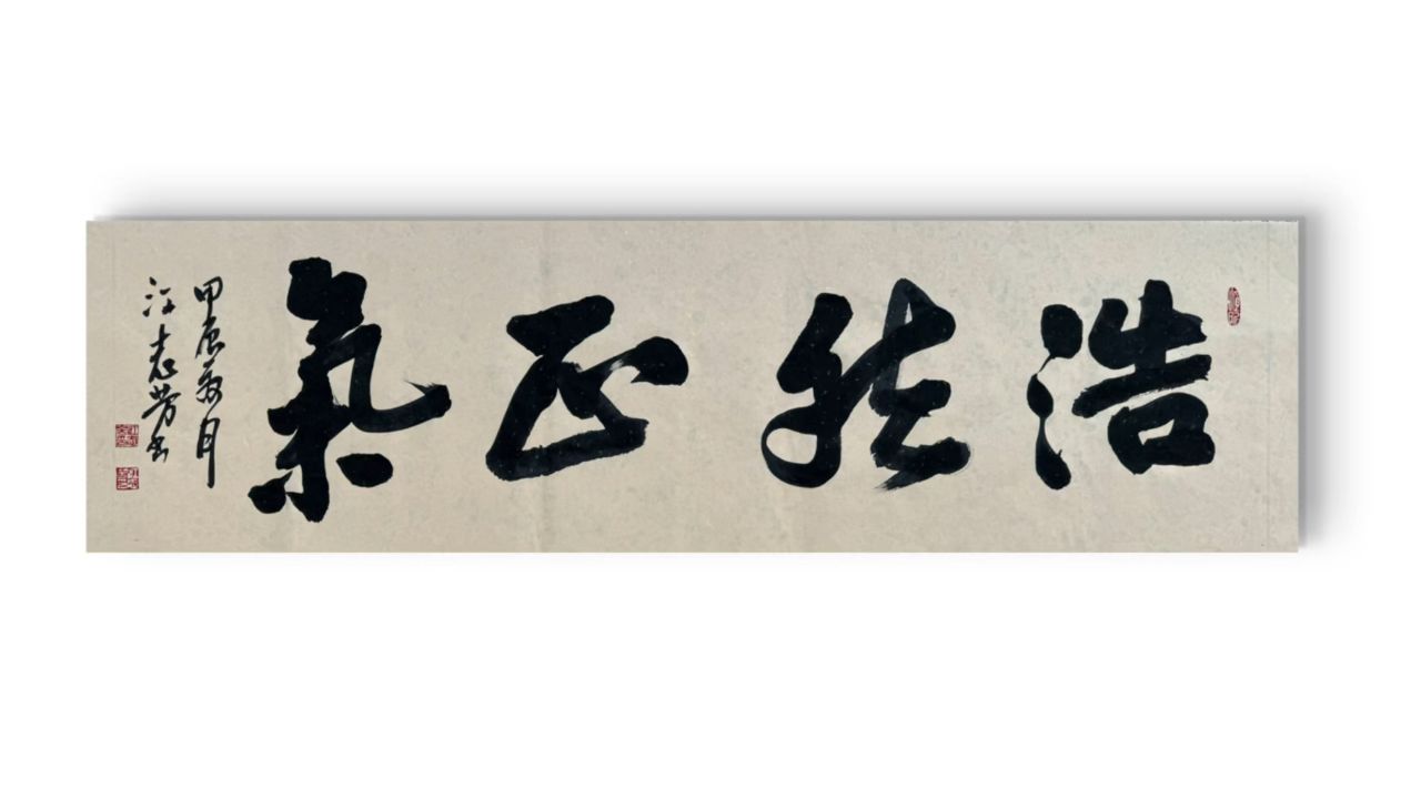 浩然正气行书书法江志芳书法