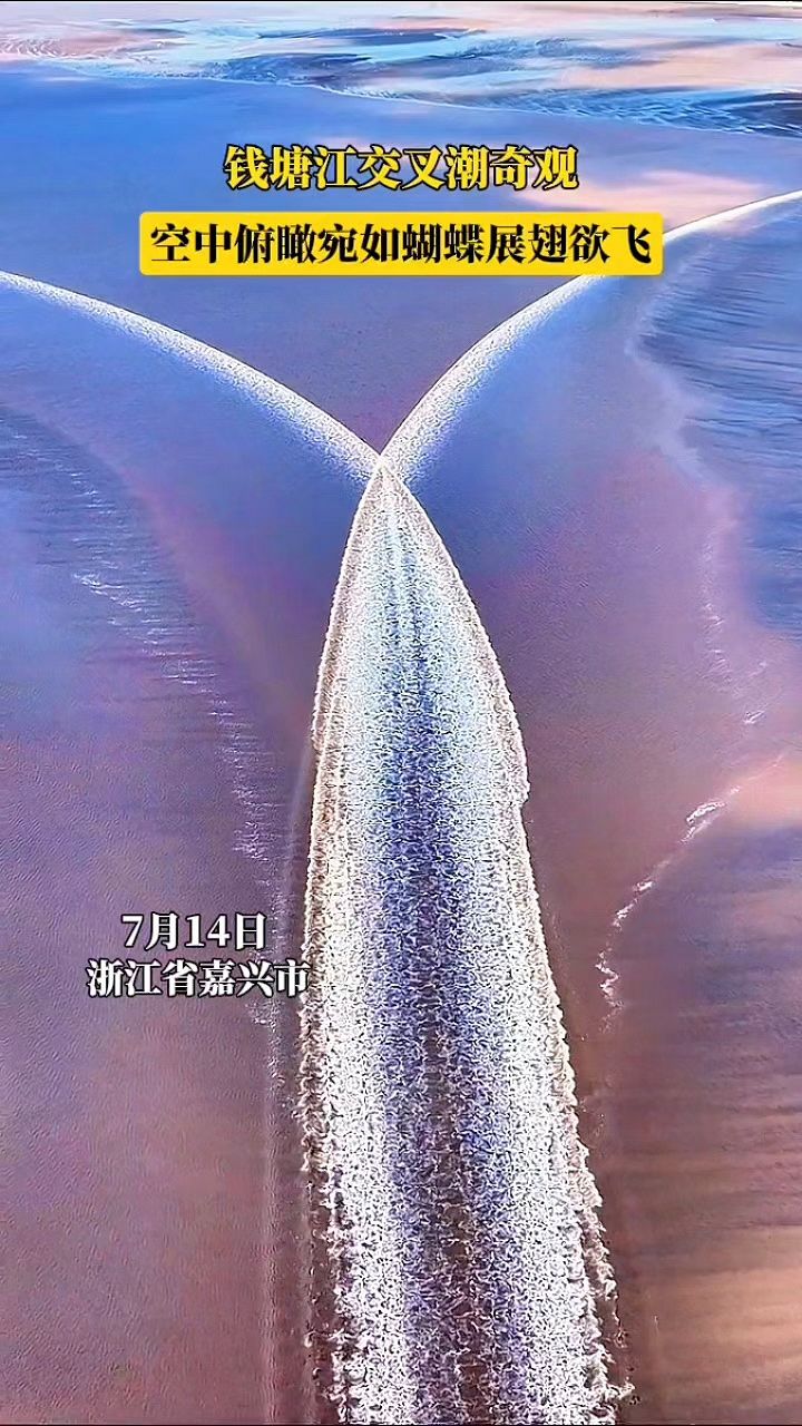 钱塘江交叉潮奇观,空中俯瞰宛如蝴蝶展翅欲飞.