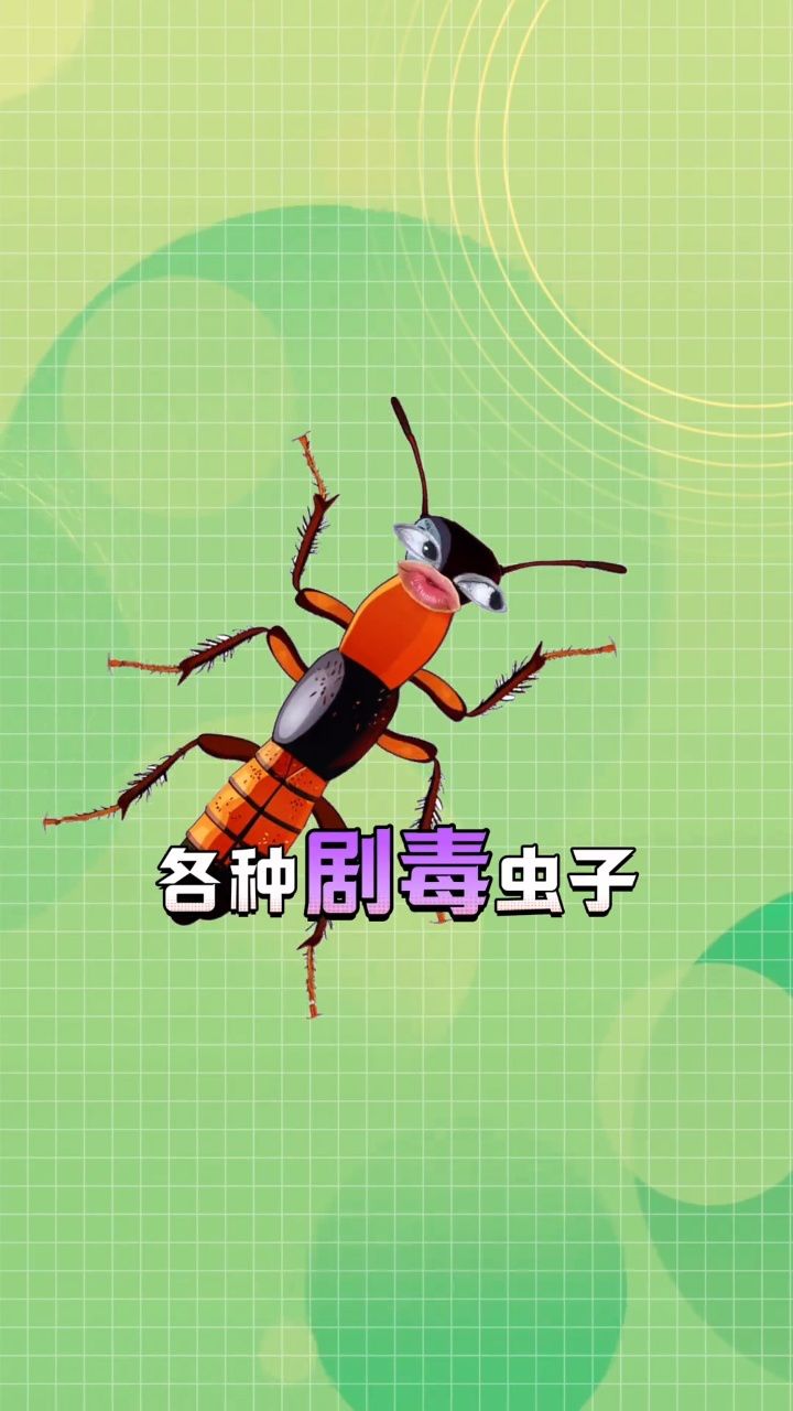 夏天看到这些小虫子可千万别用手拍!