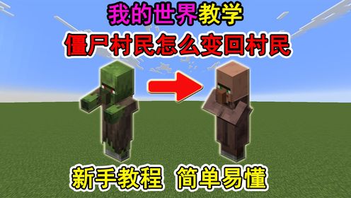我的世界僵尸村民怎么变回村民?一个视频教会你_高清1080P在线观看平台_腾讯视频