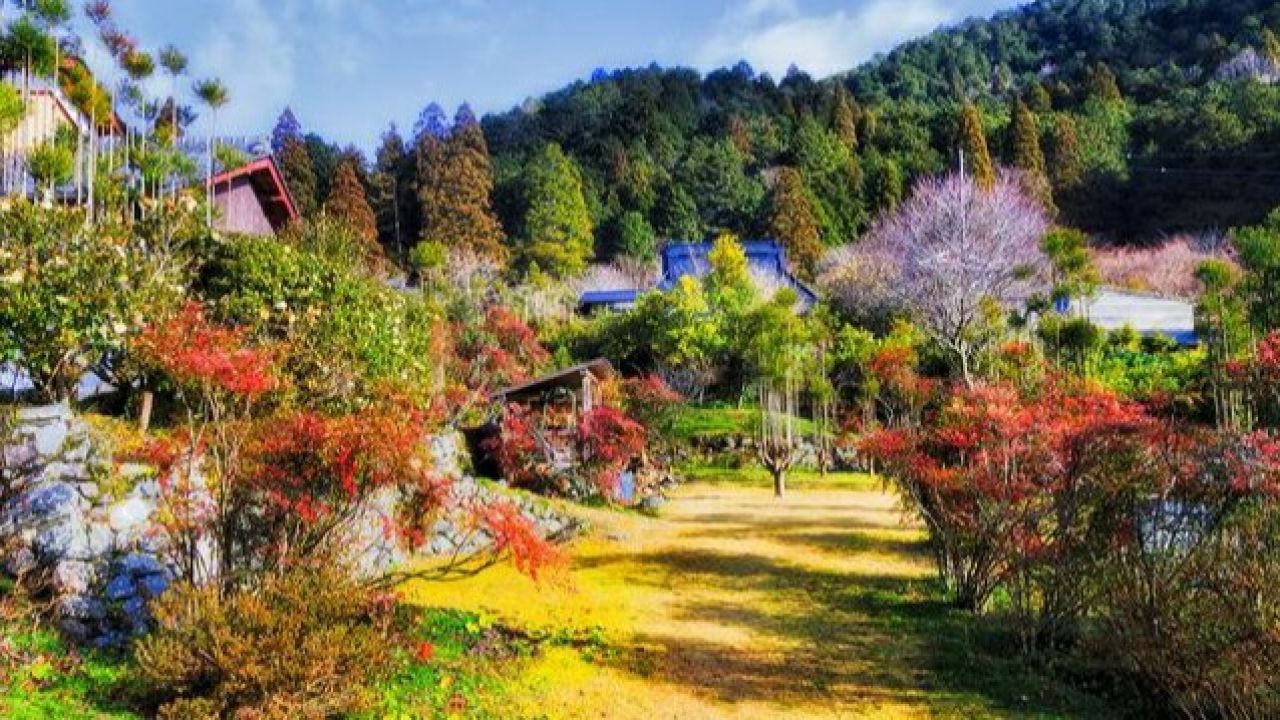绵阳药王谷:中医药养生胜地与自然奇观的完美融合
