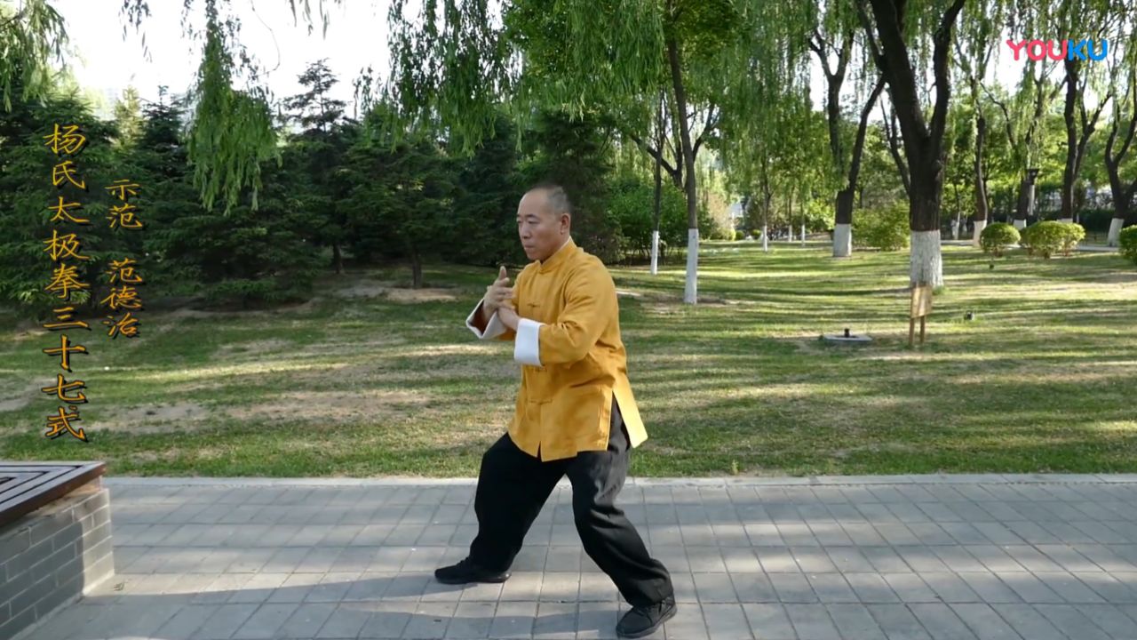 范德治杨氏太极拳三十七式示范