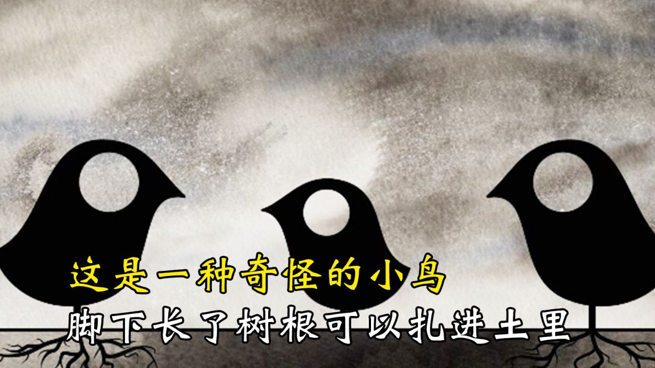世上有一种鸟可以落地生根，讽刺短片《无根鸟》_高清1080P在线观看平台_腾讯视频