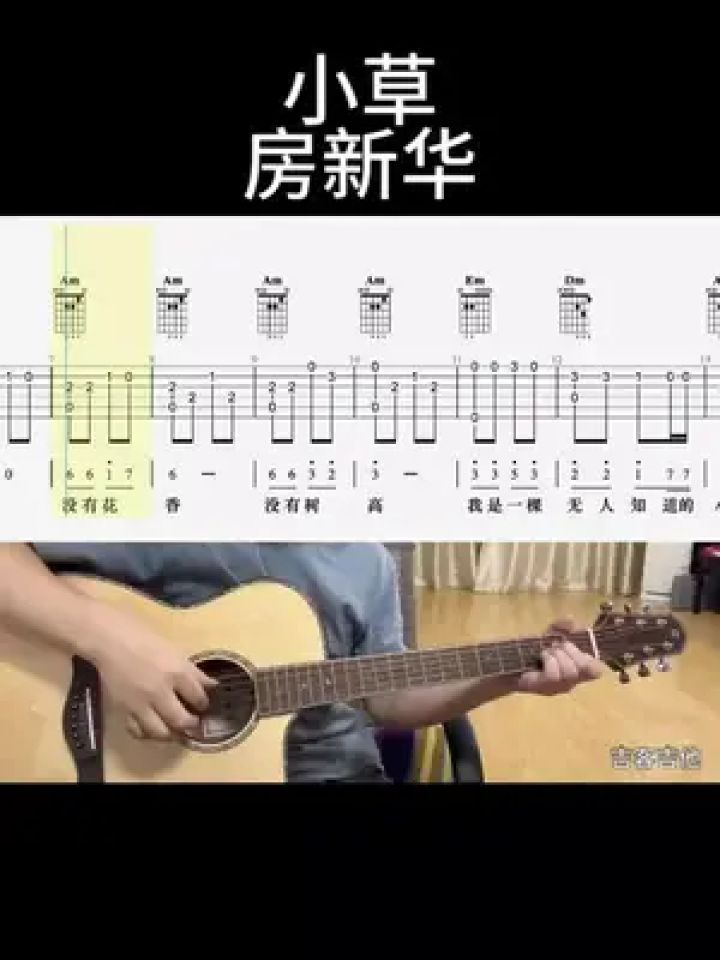 小草(房新华) #零基础学吉他 #吉他谱 #乐器演奏 #吉他老杨 #吉客吉他