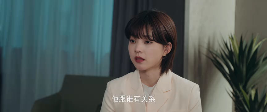 双面繁花 5集